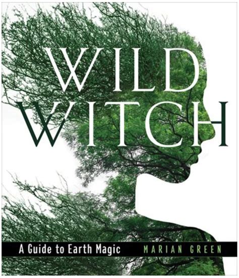 Wild is the witch biok
